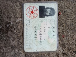 寻亲：黄采连